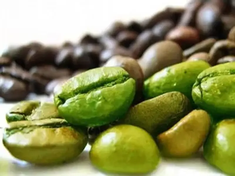 Café Verde: Recomendado por Médicos e Nutricionistas!