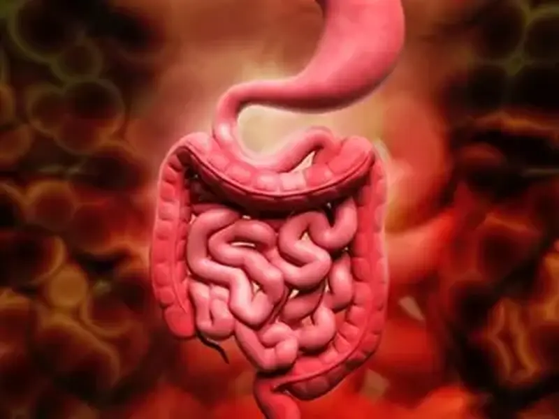 Sangue nas fezes: Os possíveis motivos para esse sinal assustador
