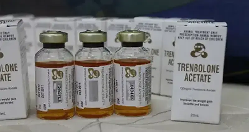 Trembolona - O que é? Como tomar? Ciclos e Efeitos colaterias